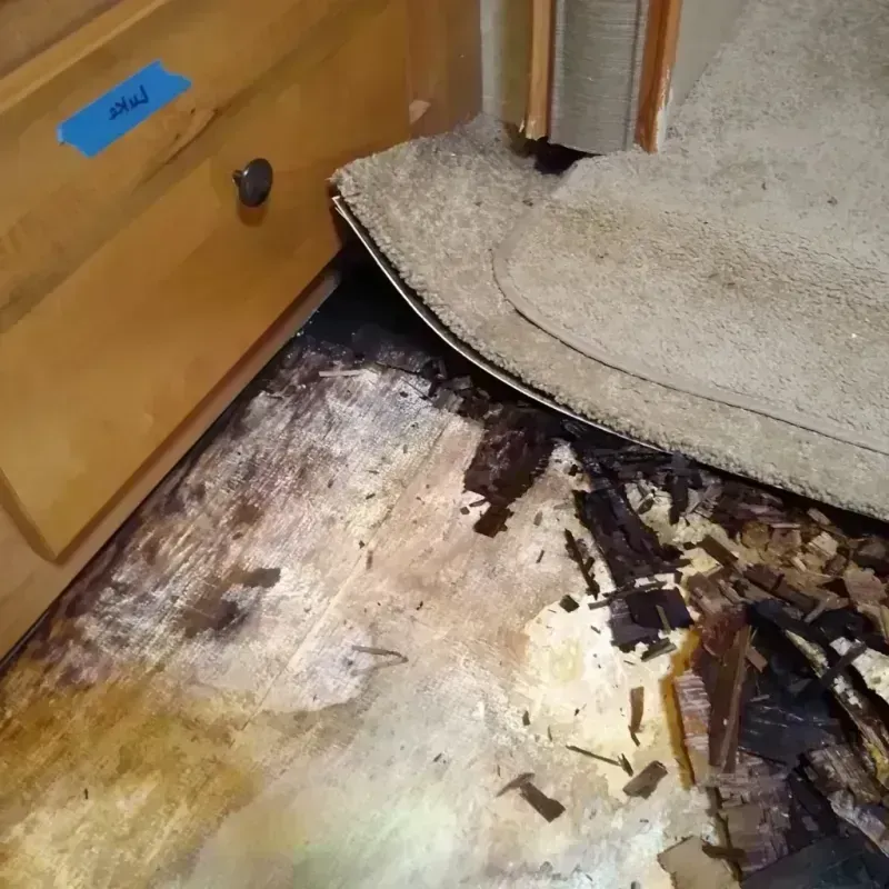 Best Wood Floor Water Damage Service in Zavala County, TX